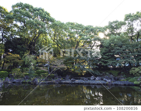 秋葉染紅的橫濱公園 秋葉染紅的橫濱公園 108200816