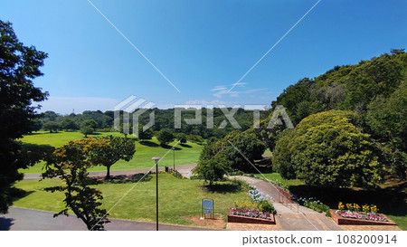 夏天的根岸森林公園 夏天的根岸森林公園 108200914