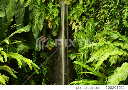 Lush tropical plants and artificial waterfalls Lush tropical plants and artificial waterfalls 108201021
