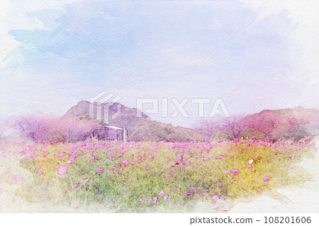 【水彩畫】花卉廣場觀光農場波斯菊田 108201606