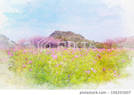 【水彩畫】花卉廣場觀光農場波斯菊田 108201607