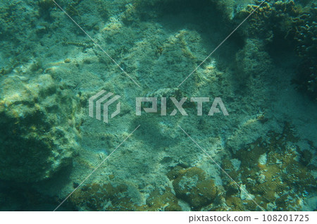 沖繩的Kuika 108201725