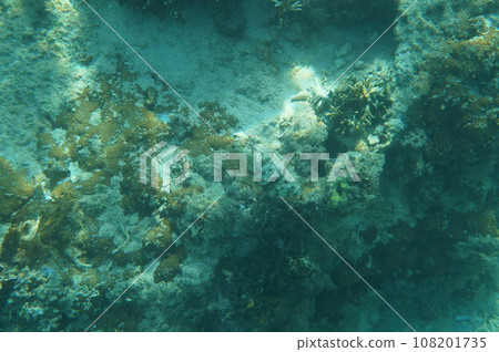 沖繩的Kuika 108201735