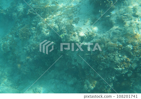 沖繩的Kuika 108201741