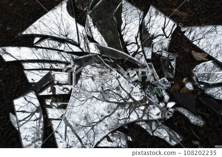 Top view of pile of broken uneven sharp edges of mirror glasses with reflection of fall trees branches with barren leaves and blue sky on street ground in daytime Top view of pile of broken uneven sharp edges of mirror glasses with reflection of fall trees branches with barren leaves and blue sky on street ground in daytime 108202235
