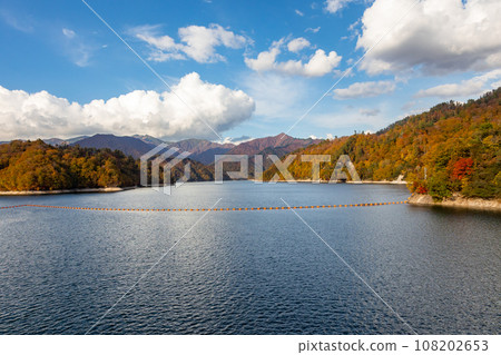 Mountains and Lake Okutone dyed in autumn leaves, Yagizawa Dam, Gunma Prefecture Mountains and Lake Okutone dyed in autumn leaves, Yagizawa Dam, Gunma Prefecture 108202653