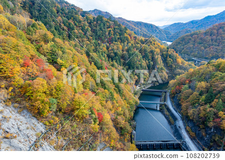 View of Lake Domoto from Yagizawa Dam, colored with autumn leaves, Minakami Town, Gunma Prefecture 108202739