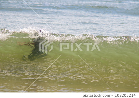 Asian little boy having fun playing in the sea, Layan Beach, Phuket, Thailand 108203214