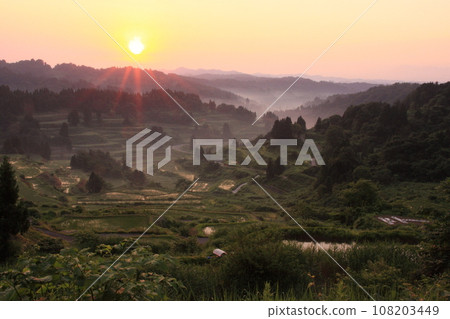 Rice terraces bathed in the morning sun 108203449