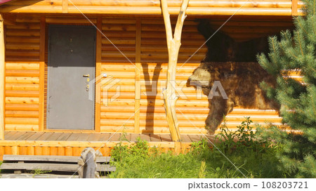 Village buildings.  108203721