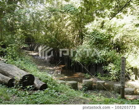 In front of Kuromegawa Tenjin Shrine (57 famous spring waters in Tokyo) 108203773