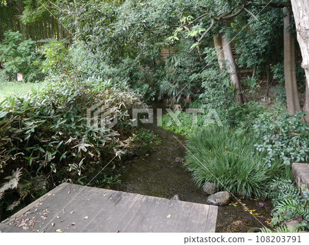 Bamboo Forest Park (57 famous spring waters in Tokyo) Bamboo Forest Park (57 famous spring waters in Tokyo) 108203791