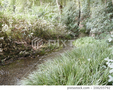 南澤綠地（平成百佳水域） 108203792