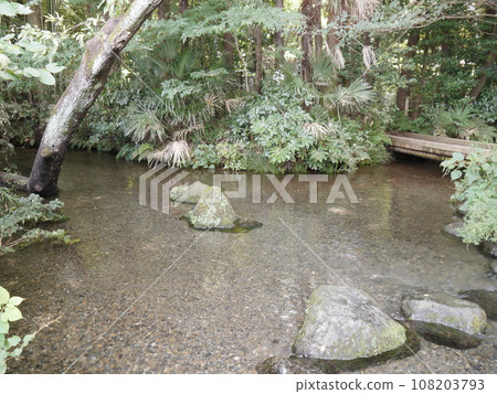 南澤綠地(平成百佳水域) 南澤綠地(平成百佳水域) 108203793