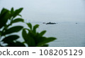 世界遺產下龍灣遊船之旅（越南） 108205129