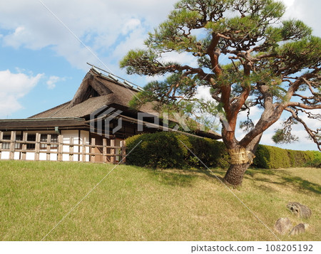 日本庭園初秋 日本庭園初秋 108205192