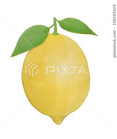 Beautiful lemon on a white background Beautiful lemon on a white background 108205429