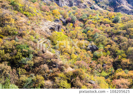 overgrown colorful slopes of gorge in autumn overgrown colorful slopes of gorge in autumn 108205625