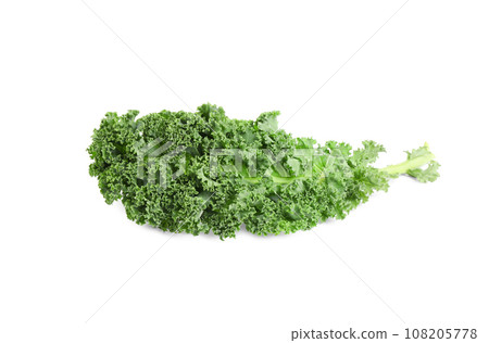 Fresh green kale leaf isolated on white 108205778