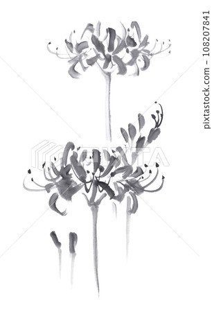 Monotone red spider lily ink painting - Stock Illustration