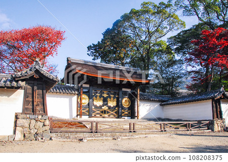 醍醐寺、國寶、三寶院唐門 紅葉（京都市伏見區醍醐） 108208375