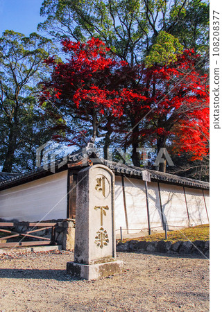 醍醐寺、國寶、三寶院唐門 紅葉（京都市伏見區醍醐） 108208377