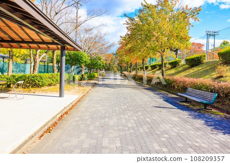 Autumn Makigane Park Autumn Makigane Park 108209357