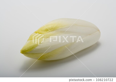 菊苣。 108210722