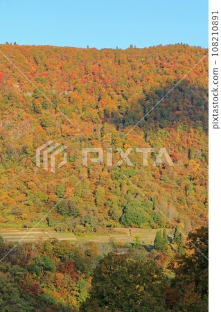 Autumn in Akiyamago: Ishigakida in Ketto seen from the Higashiakiyama forest road Autumn in Akiyamago: Ishigakida in Ketto seen from the Higashiakiyama forest road 108210891
