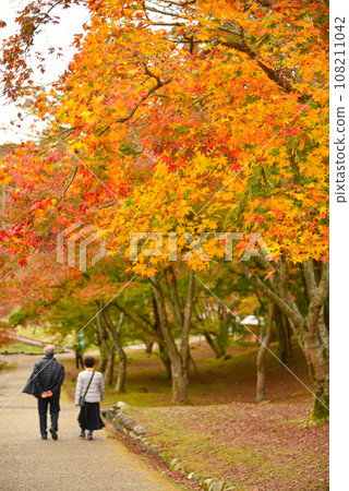 Autumn leaves and old couple Autumn leaves and old couple 108211042