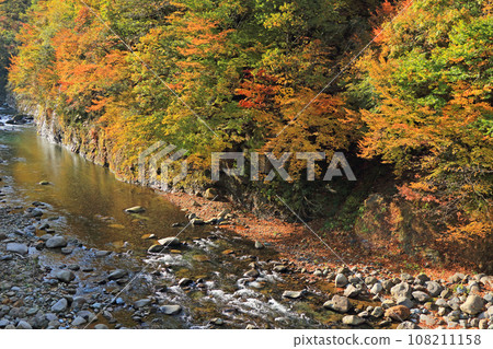 秋山鄉秋山鄉的秋天，金州的中津川溪谷 108211158