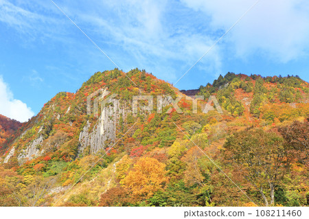 Akiyamago Mt. Kinshu no Nunoiwa 108211460