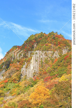 Akiyamago Mt. Kinshu no Nunoiwa 108211462