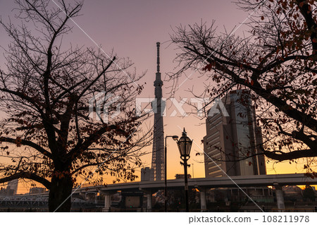 從東京墨田公園看到美麗的日出，東京晴空塔 108211978