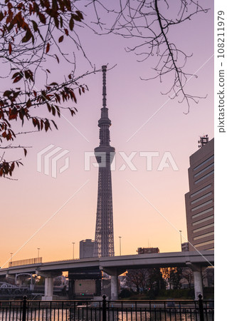 從東京墨田公園看到美麗的日出，東京晴空塔 108211979
