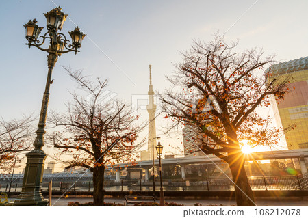從東京淺草墨田公園看到的日出 108212078