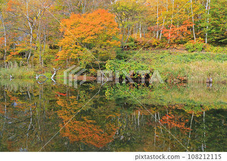 Akiyamago Nishikishu no Tianike 108212115