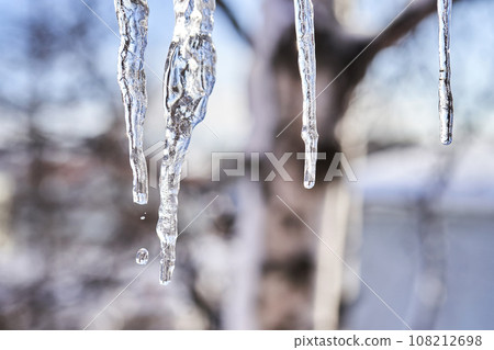Ice icicles on the roof in winter. 108212698
