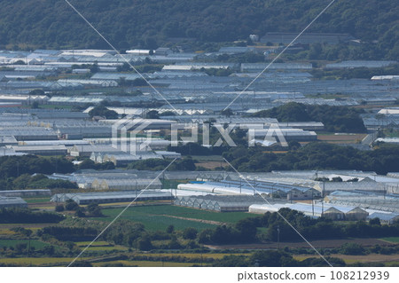 渥美半島電動菊花乙烯屋 渥美半島電動菊花乙烯屋 108212939