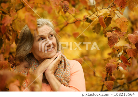 Senior woman walking in the park in autumn. Senior woman walking in the park in autumn. 108213564