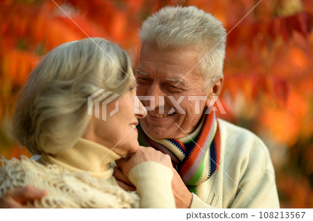 Elderly couple dance in the park in autumn. 108213567