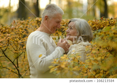 Elderly couple dance in the park in autumn. Elderly couple dance in the park in autumn. 108213584