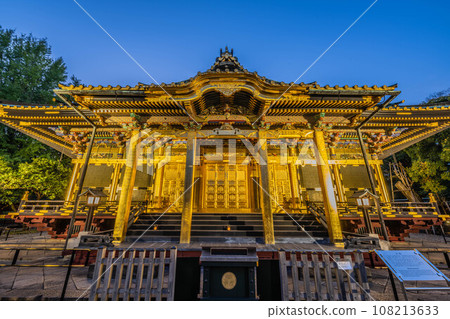 Ueno Toshogu Shrine light up 108213633