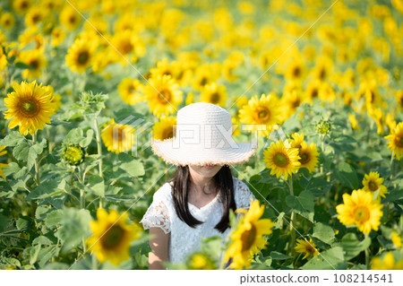 A girl wearing a hat playing in a sunflower field A girl wearing a hat playing in a sunflower field 108214541