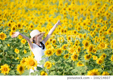 Girl spreading her arms in a sunflower field 108214607