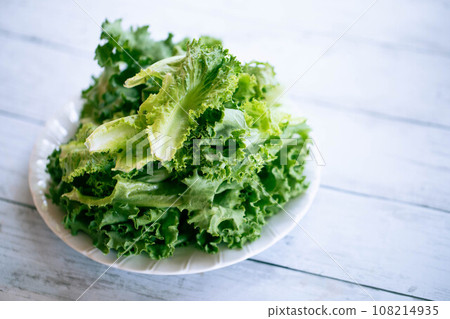 新鮮的furirurrettasu 新鮮的furirurrettasu 108214935