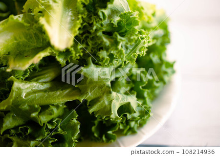 Fresh furirurrettasu Fresh furirurrettasu 108214936