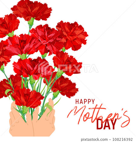 Bouquet of red carnations in hands. Postcard for Mother's Day. Flowers as a gift to beloved parents as a sign of respect and gratitude. Thank you dear person. Bouquet of red carnations in hands. Postcard for Mother's Day. Flowers as a gift to beloved parents as a sign of respect and gratitude. Thank you dear person. 108216392