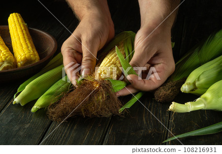 Close-up of male hands cleaning corn cobs on kitchen table. Concept of cooking vegetarian food Close-up of male hands cleaning corn cobs on kitchen table. Concept of cooking vegetarian food 108216931