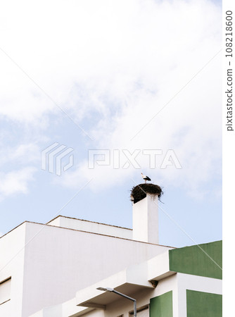 Stork in a nest on the roof of a house on a cloudy day Stork in a nest on the roof of a house on a cloudy day 108218600